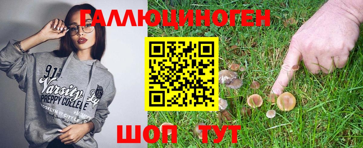 Псилоцибиновые грибы Psilocybine cubensis Вичуга